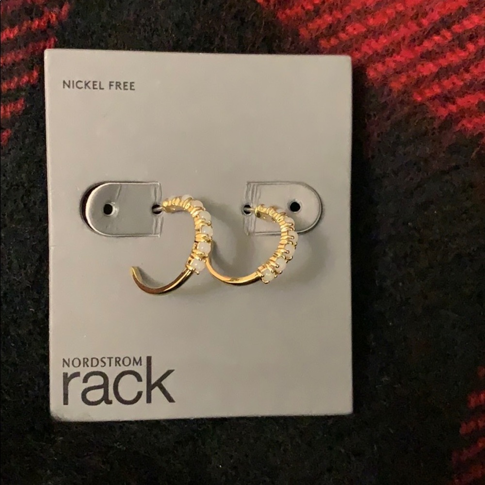 Posh Hoop Earrings